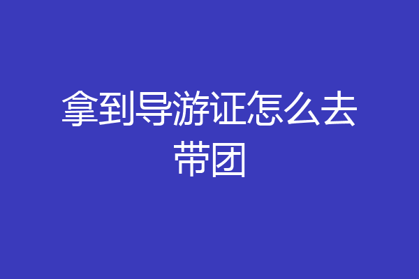 拿到导游证怎么去带团