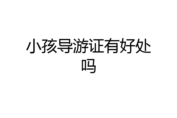 小孩导游证有好处吗
