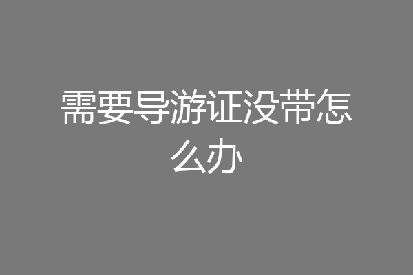 需要导游证没带怎么办