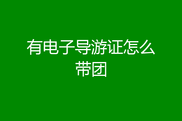 有电子导游证怎么带团