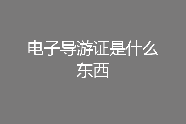 电子导游证是什么东西