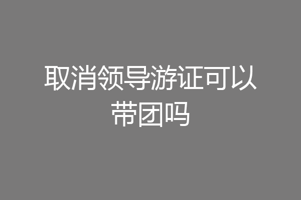 取消领导游证可以带团吗