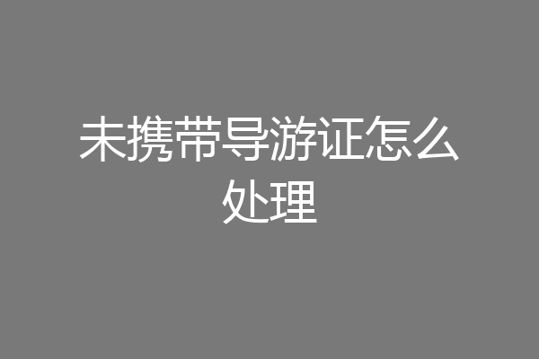 未携带导游证怎么处理