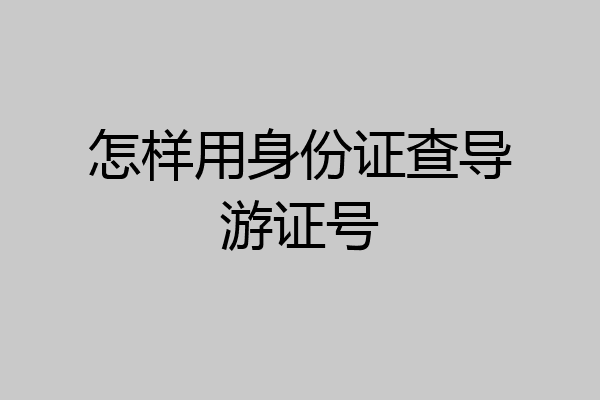 怎样用身份证查导游证号
