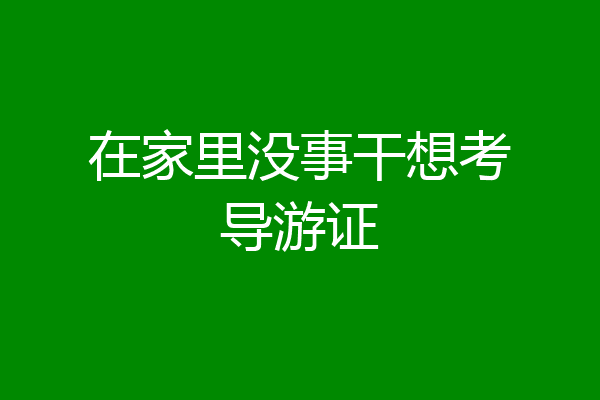 在家里没事干想考导游证