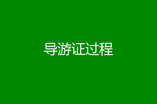 导游证过程