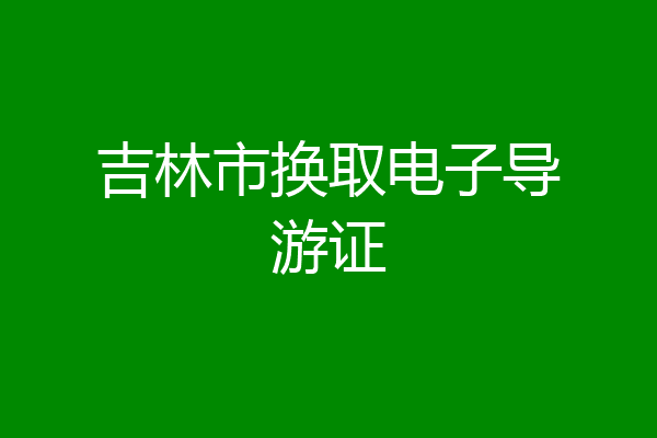 吉林市换取电子导游证
