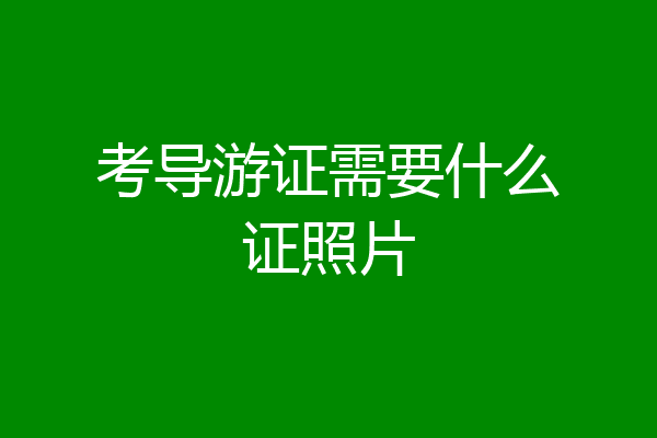 考导游证需要什么证照片
