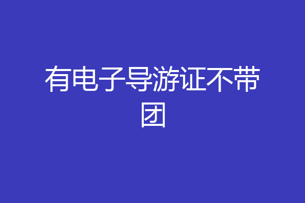 有电子导游证不带团