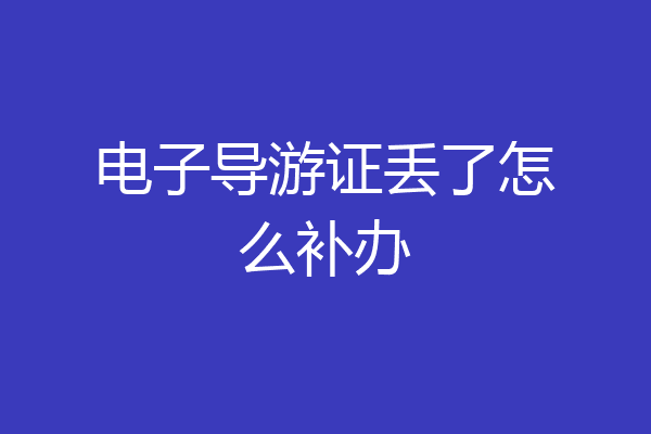 电子导游证丢了怎么补办