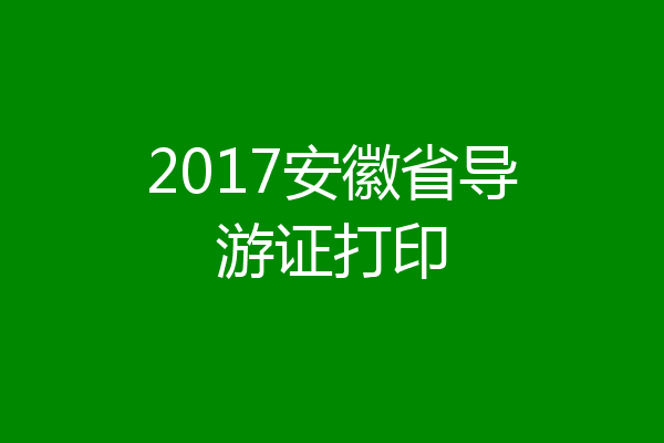 2017安徽省导游证打印