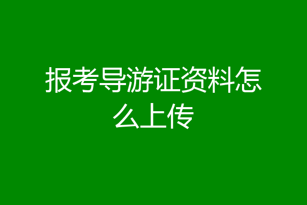报考导游证资料怎么上传