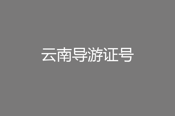 云南导游证号