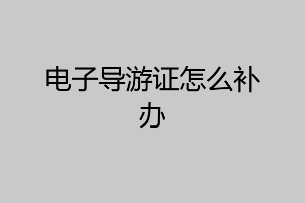 电子导游证怎么补办
