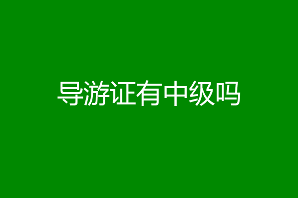 导游证有中级吗