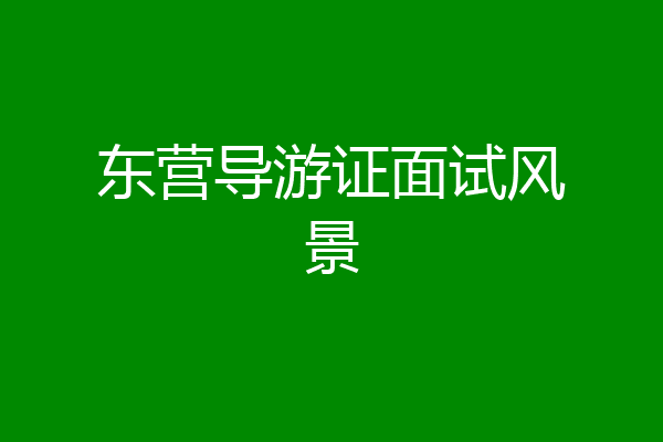 东营导游证面试风景