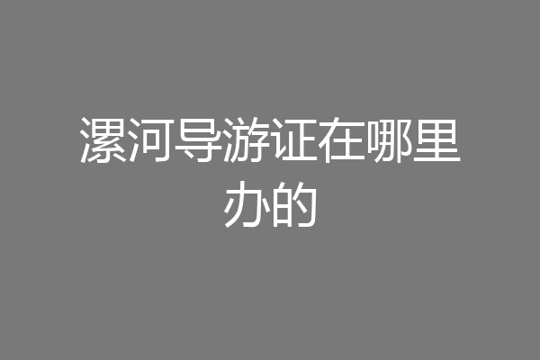 漯河导游证在哪里办的