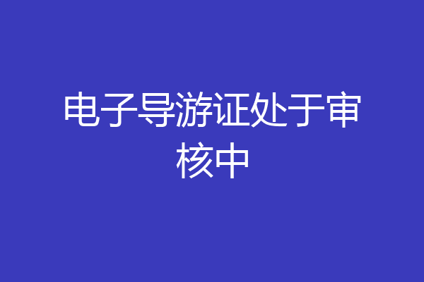 电子导游证处于审核中