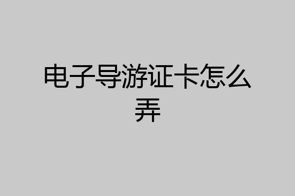 电子导游证卡怎么弄