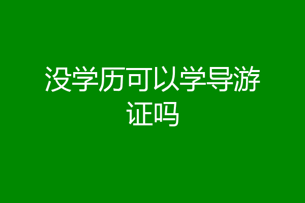 没学历可以学导游证吗
