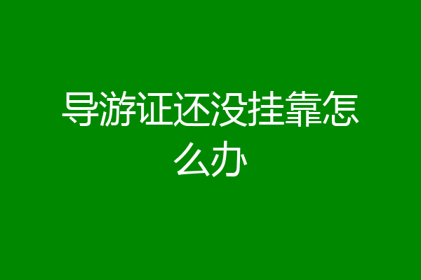 导游证还没挂靠怎么办