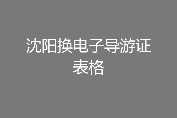 沈阳换电子导游证表格