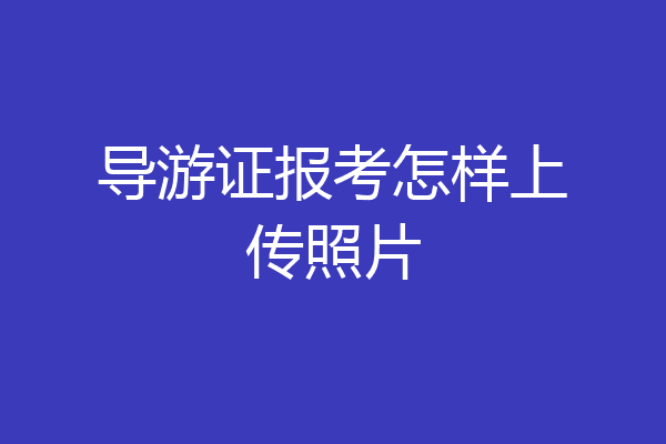 导游证报考怎样上传照片