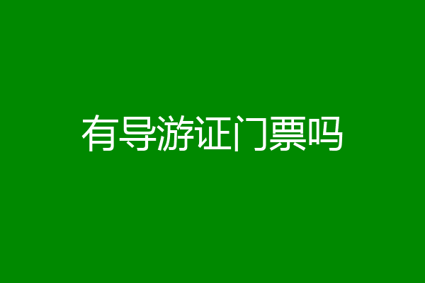 有导游证门票吗