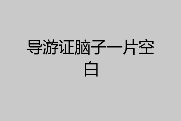 导游证脑子一片空白