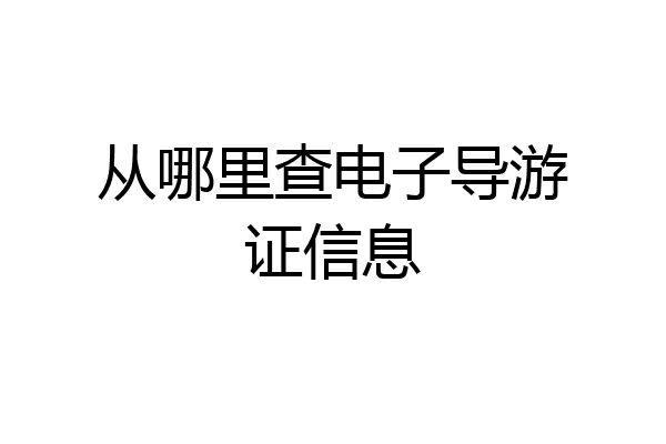 从哪里查电子导游证信息