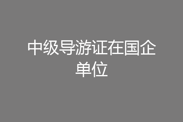 中级导游证在国企单位
