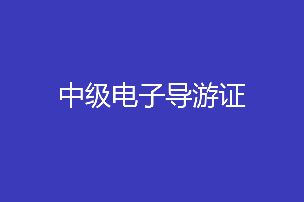 中级电子导游证