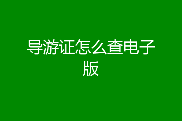 导游证怎么查电子版