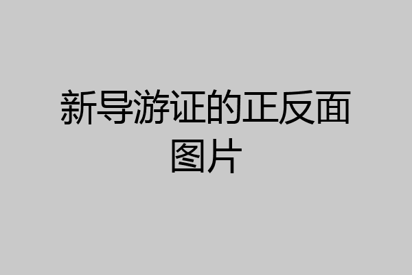 新导游证的正反面图片