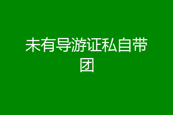 未有导游证私自带团