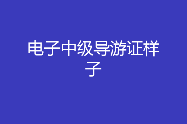 电子中级导游证样子
