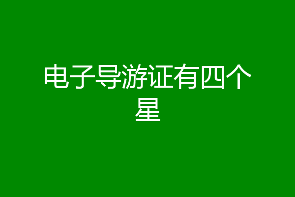 电子导游证有四个星