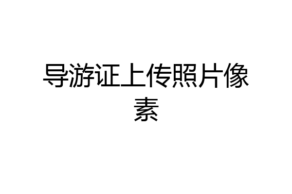 导游证上传照片像素