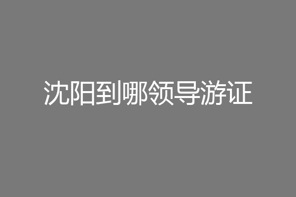 沈阳到哪领导游证