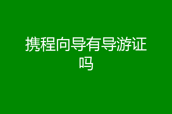 携程向导有导游证吗