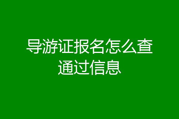 导游证报名怎么查通过信息