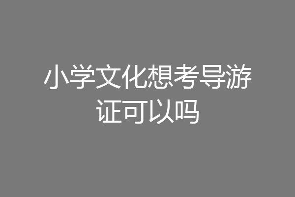 小学文化想考导游证可以吗