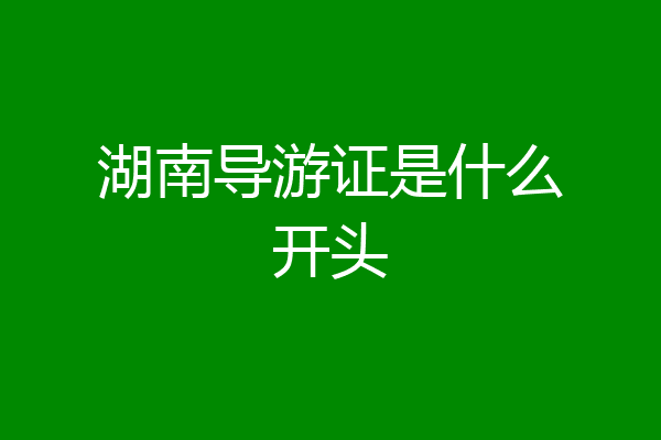 湖南导游证是什么开头