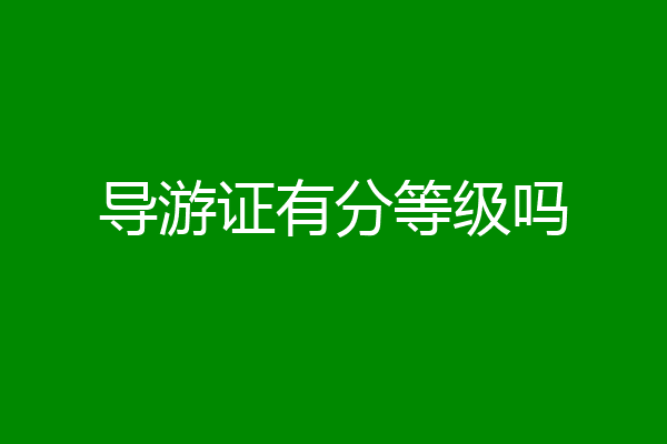导游证有分等级吗