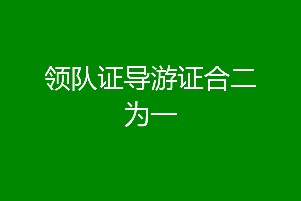 领队证导游证合二为一