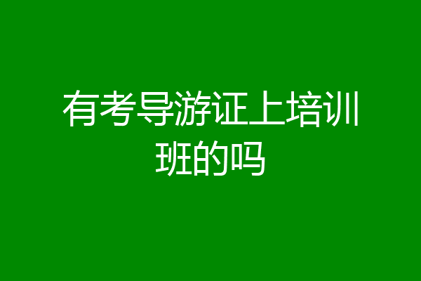 有考导游证上培训班的吗
