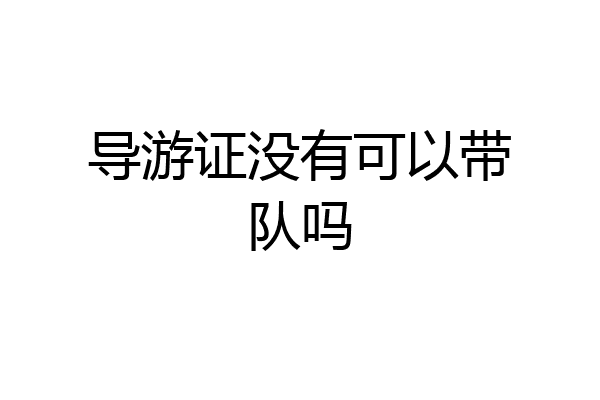 导游证没有可以带队吗