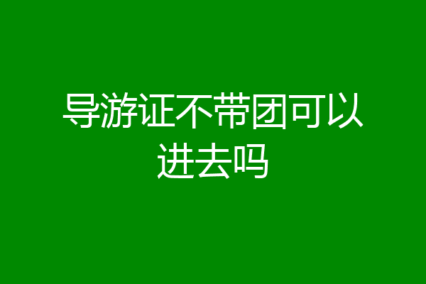 导游证不带团可以进去吗