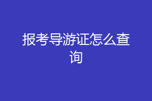 报考导游证怎么查询