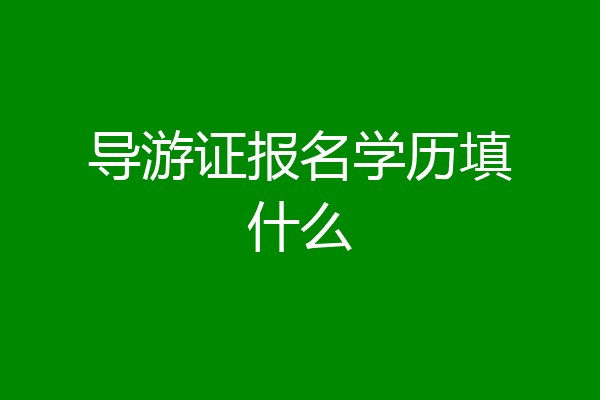 导游证报名学历填什么